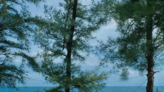 ทัวร์ 1 วัน กวางตุ้ง ฮุ่ยโจว ทะเลสาบตะวันตก + เมืองสิงโต + ซิลเวอร์บีช + อ่าวต้าหยา มีบริการภาษาอังกฤษ