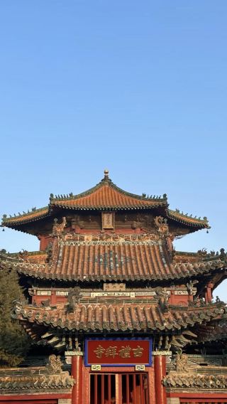 山東省微山湖＋鉄道遊撃隊記念園＋微子文化苑ワンデーツアー-中国語/英語サービス