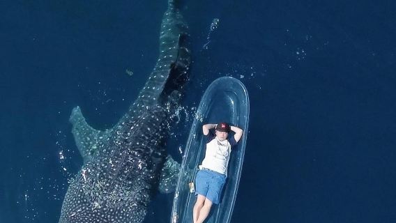 Mauritius Southern Private Charter 1-day Tour [Customizable Itinerary|Customizable|8-hour private charter