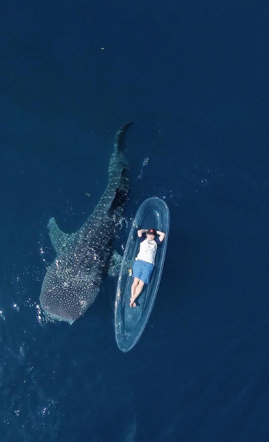 Mauritius Southern Private Charter 1-day Tour [Customizable Itinerary|Customizable|8-hour private charter