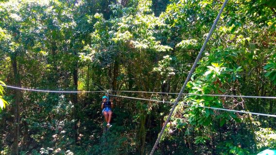 Aventura en tirolesa en Jamaica (Mystic Silver) desde Falmouth