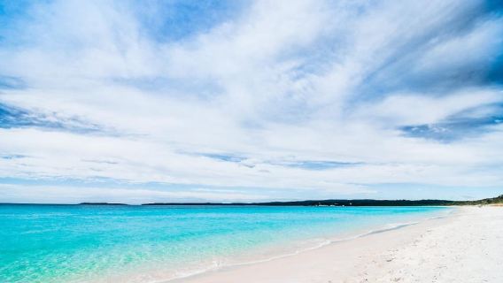 Từ Sydney: Chuyến đi trong ngày đến Port Stephens
