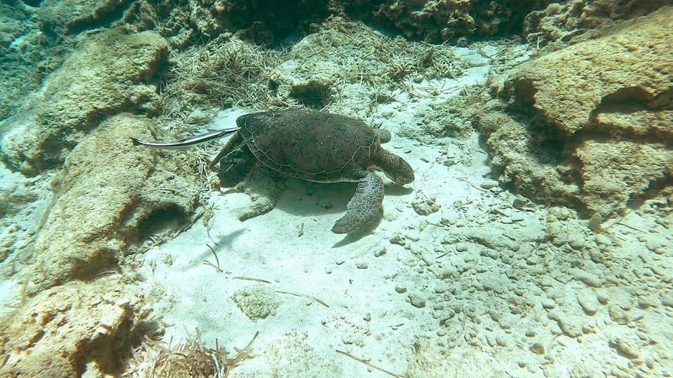 Scuba diving-private and individual– No certification needed