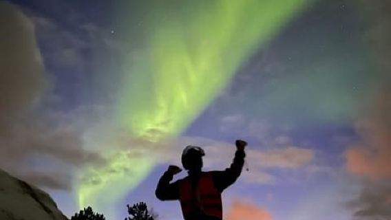 From Tromso: Arctic Wilderness Snowmobile Evening Tour