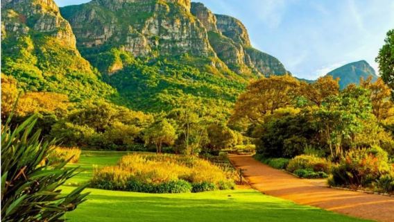 Núi Bàn Kirstenbosch Thế giới các loài chim & Nhà máy kim cương