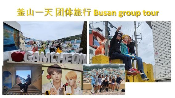 Busan shared Tour for Cruise Ship Passengers Max 15 guests