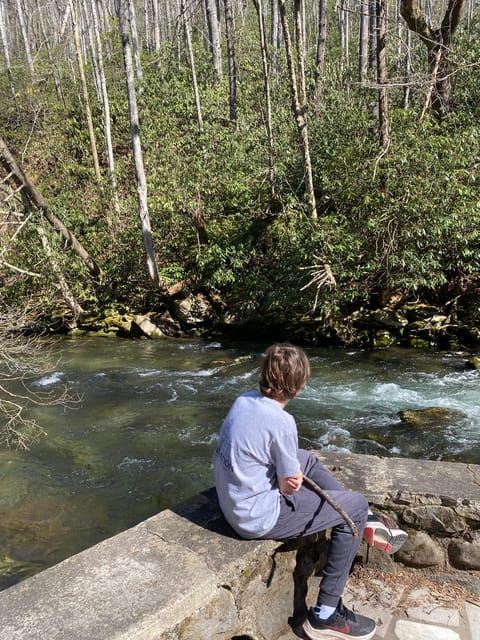 Gatlinburg: เดินป่าผจญภัยและประดิษฐ์สิ่งของสำหรับเด็ก