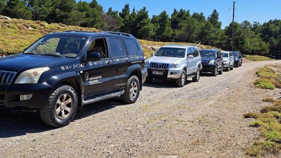 Kos 4x4 Exploration: Panoramic Views, Villages & Flavors