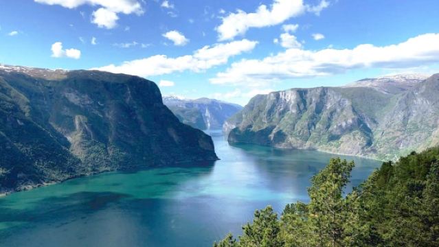 Bergen: crucero por el fiordo Nærøyfjord y excursión de un día en tren de Flåm a Oslo