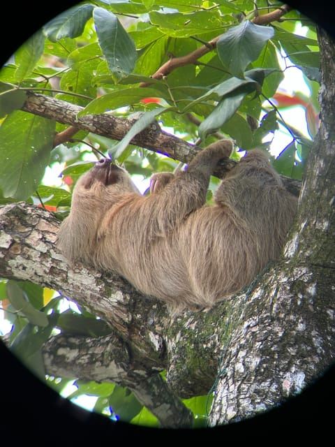 Tur Pendakian Alam Cahuita