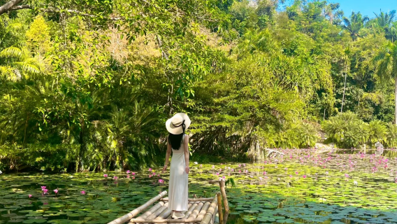 Xishuangbanna 1-day tour guide service (Chinese/Thai/English, booking required 3 days in advance)