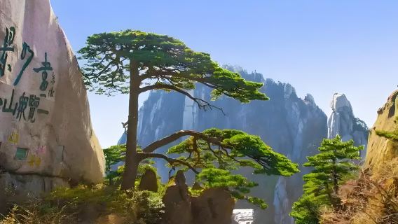 Hoàng Sơn: Biển mây ngoạn mục, rừng thông kỳ lạ và những tảng đá khổng lồ - Tour một ngày với Đặt chỗ theo nhóm bằng tiếng Anh