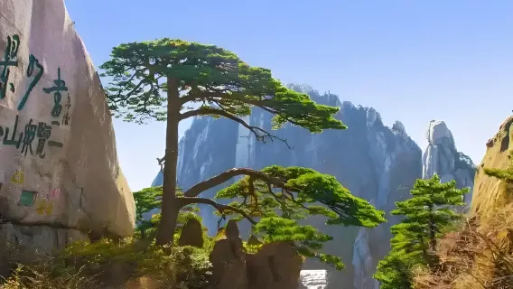 Huangshan: Spectacular Sea of ​​Clouds, Strange Pines, and Giant Rocks - One-Day Tour with English Group Booking