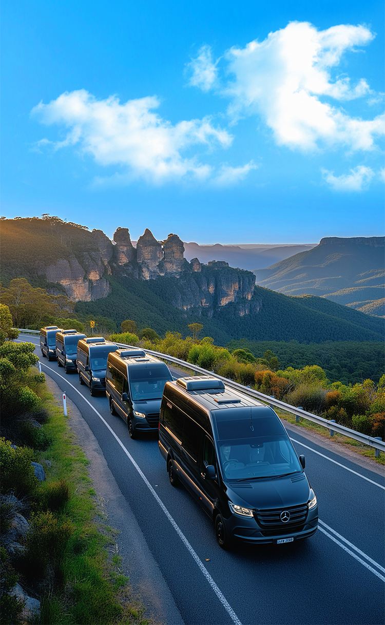 [Premium Mercedes-Benz route‖Door-to-door pickup‖Lincoln's Rock‖3 cable cars] Blue Mountains National Park 1-day tour