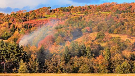 英國曼徹斯特出發峰區國家公園+達西莊園一日遊