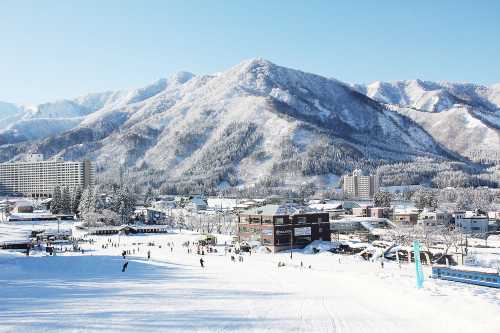 【套票優惠】湯澤中里滑雪度假村 一日纜車券+租賃(新潟縣越後湯澤)