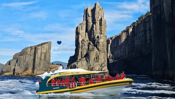 Tour du thuyền cano cao tốc Bán đảo Tasman/Mũi Raoul, Tasmania [Có thể khởi hành từ Hobart]