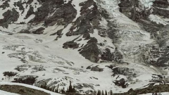 Round-trip from Seattle to Mount Rainier National Park/Customizable itinerary/Instant discount for inquiries