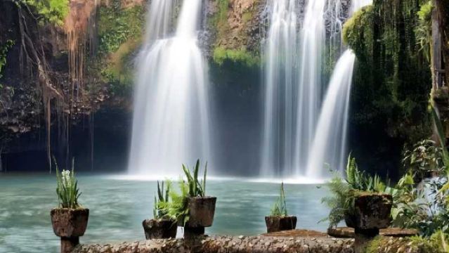 【中文團|螢火蟲】凱恩斯天空之城帕羅尼拉公園一日遊螢火蟲夜遊