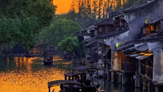 Shanghai Round-Trip Private Day Tour to Wuzhen, Jiaxing (Optional Chinese/English Guide)