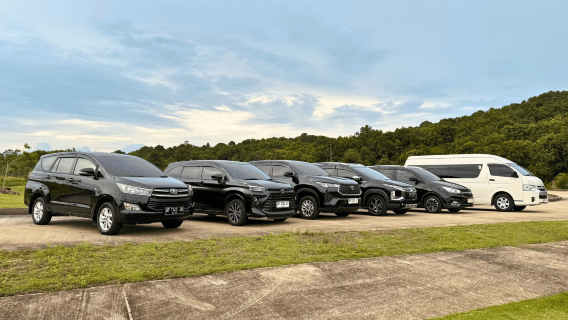 Bintan Half Day or Full Day Car Rental with Driver - Private Tour Option