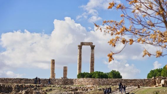 約旦安曼｜旅遊陪同翻譯｜展會｜商務考察洽談｜自由行地接｜接機 （可私人定制）