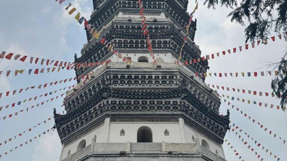 однодневный тур в музей Аньцина, пешеходную улицу Даопаши, храм Инцзян и пагоду Чжэньфэн с возможностью обслуживания на английском языке