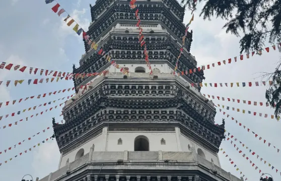 安徽安慶博物館+倒扒獅步行街+迎江寺+振風塔一日遊中英文服務