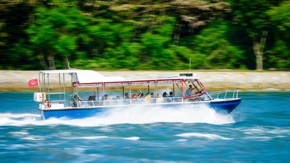 [Aventure en bateau rapide vers 9 sites emblématiques !] Navigation dans la baie de Sentosa + exploration rapprochée des îles environnantes