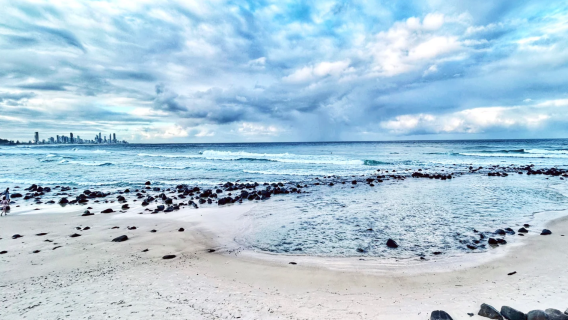 【親子遊】澳洲黃金海岸|可倫斌動物園+危險角+波利角一日遊
