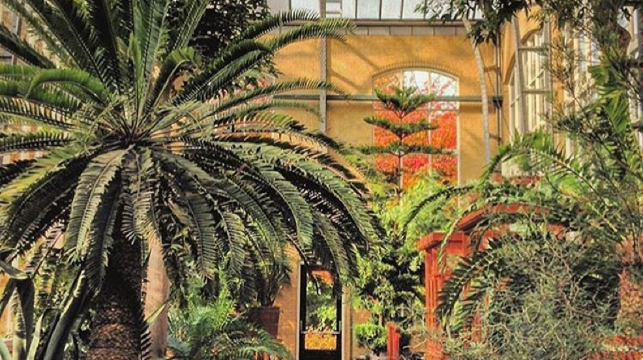 倫勃朗故居+滑鐵盧廣場+阿姆斯特丹植物園一日遊