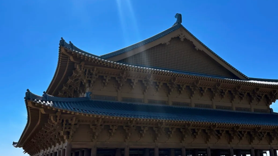 1-day tour to Adelaide's southern beaches, Australia [Transfer service & customizable itinerary]