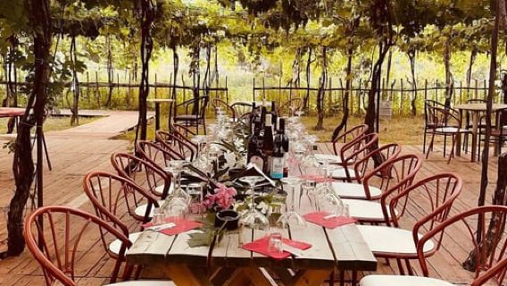 Scopri Roshnik: vita del villaggio e degustazione nella cantina Alpeta