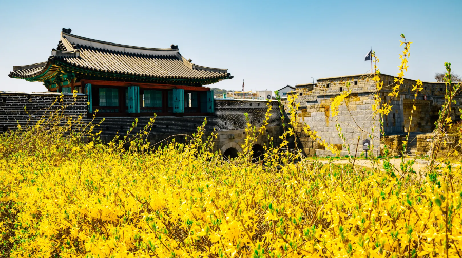 【探索水原華城】韓國民俗村+八達門+華城行宮+光明洞窟