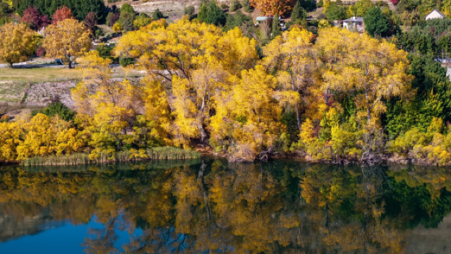 紐西蘭皇后鎮來回半日遊【含瓦納卡鎮、箭鎮|中文司導