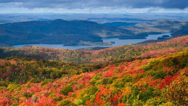 Лаврентийские горы и Мон-Тремблан: однодневная поездка из Монреаля.