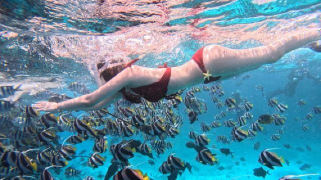 [Popular Snorkeling] Snorkeling at Jiajing Island Coral Reefs with Jet Ski & Banana Boat Transfers, Surfing, and Photography!
