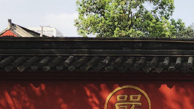 熊貓基地 武侯祠 杜甫草堂 寬窄巷子/太古里5座/7座可選