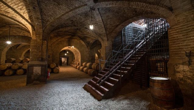 Discover Santiago: Hop On Bus, Cerro San Cristóbal & Wine