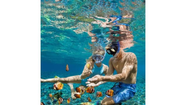 ดำน้ำตื้นหมู่เกาะเดย์มานิยัต พร้อมอาหารกลางวันปิกนิก