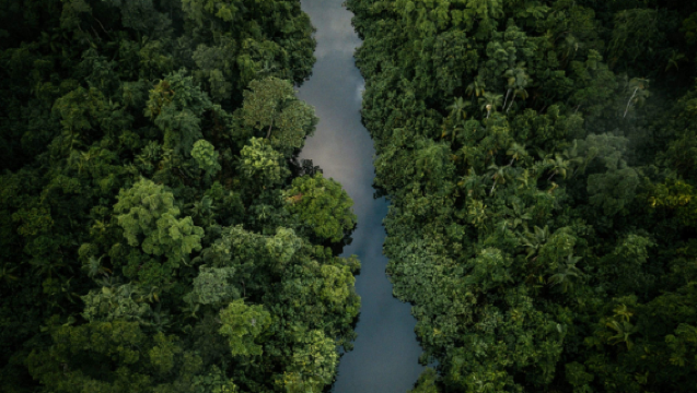 Tour en helicóptero de 30 minutos por la selva tropical de Port Douglas, Australia