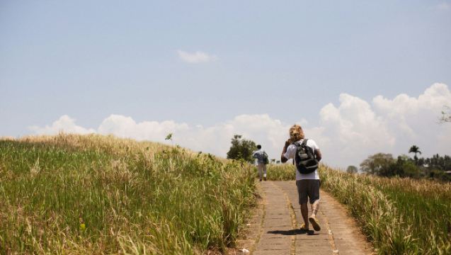 Ubud : Visite à pied de la crête de Campuhan et de la forêt des singes