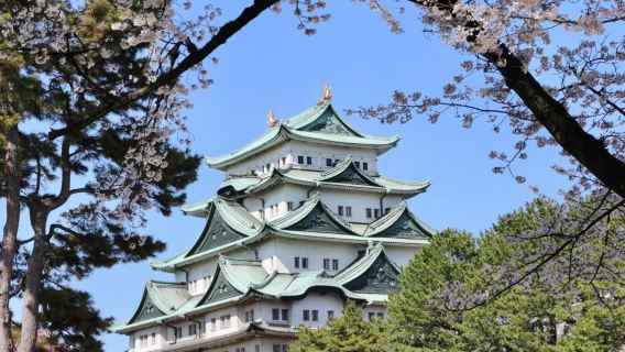 Sewaan peribadi berbahasa Cina di Nagoya/Jepun - Pelancongan/Pameran/Perniagaan/Penterjemah/Temani/Lawatan/Pembelajaran/Penerangan berpandu