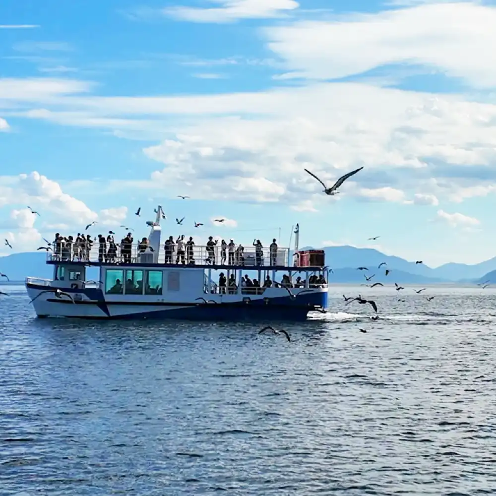 ine bay sightseeing boat