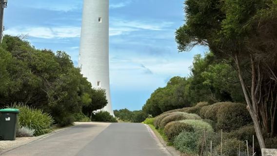 Lawatan Sehari Pemandangan Semula Jadi Laluan Great Ocean Melbourne (tidak termasuk tiket masuk)