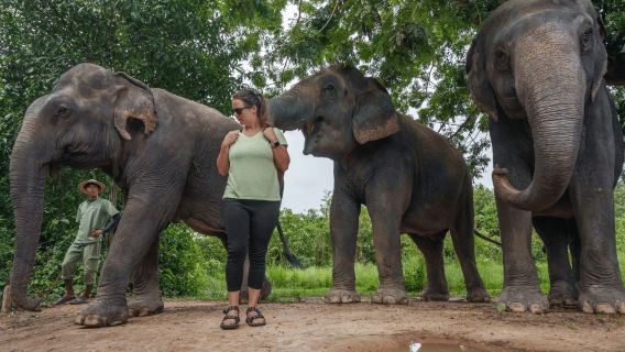 Kulen Elephant Forest Small-Group Tour with Tuk Tuk Hotel Transfers