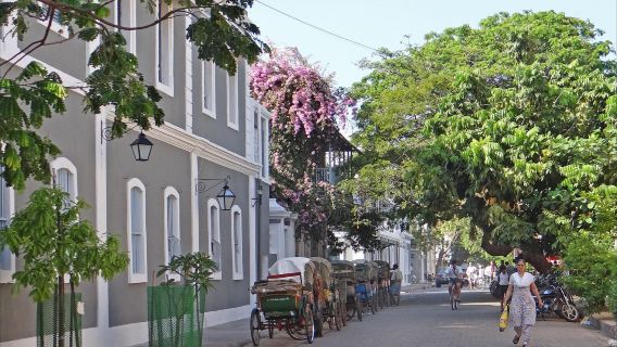 Goa: Private Full-Day Sightseeing Highlights Tour
