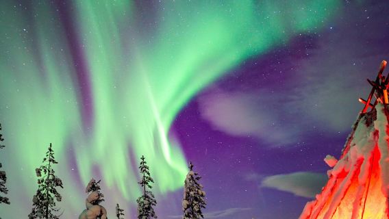 Northern Lights Rovaniemi: Wilderness Tour + Professional Camera