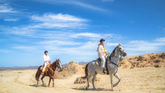 Cactus Tours: 3 Activities COMBO