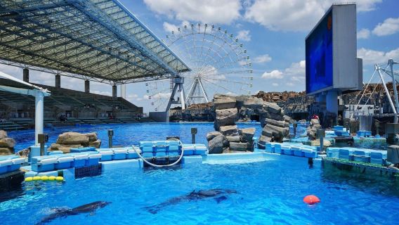 名古屋親子一日遊|名古屋港水族館+樂高樂園 （不含門票）